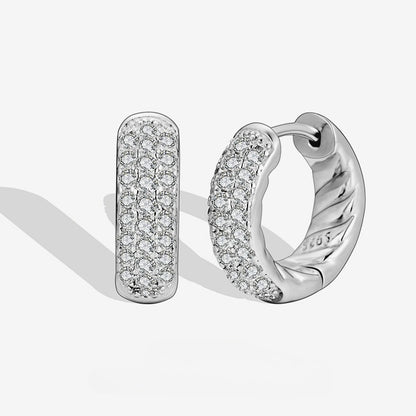 S925 Sterling Silver Earrings Women's Niche Design High-end Zircon Ring