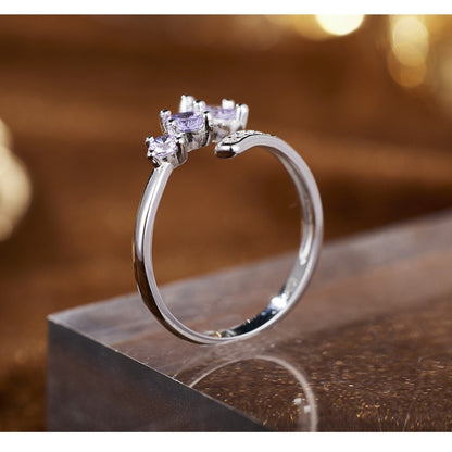 Dapaza S925 Sterling Silver Ring