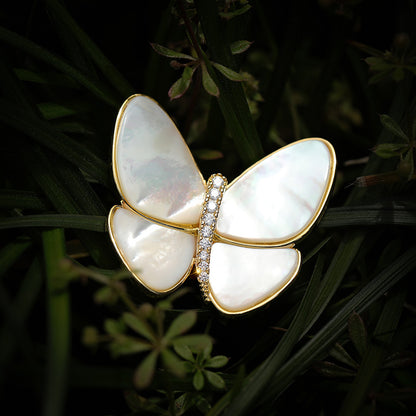Break The Cocoon Into A Butterfly Natural Shell Butterfly Brooch