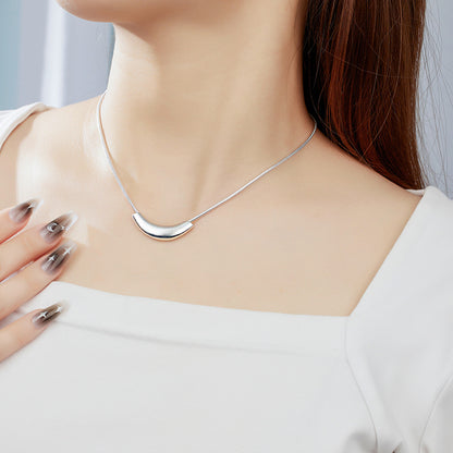 Dapaza S925 Sterling Silver Matte Scrub Snake Bone Necklace