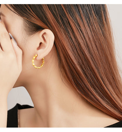 925 Sterling Silver Zircon Earrings Women's  Earrings